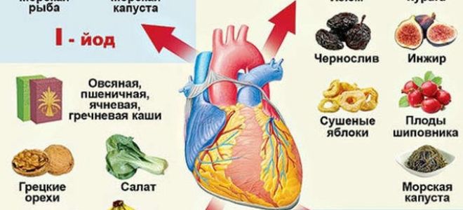 Выраженные, незначительные и рубцовые изменения миокарда на экг: что это значит