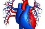 Воздействие тяжелых патологий на сердечно-сосудистую систему