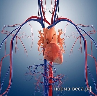 Воздействие тяжелых патологий на сердечно-сосудистую систему