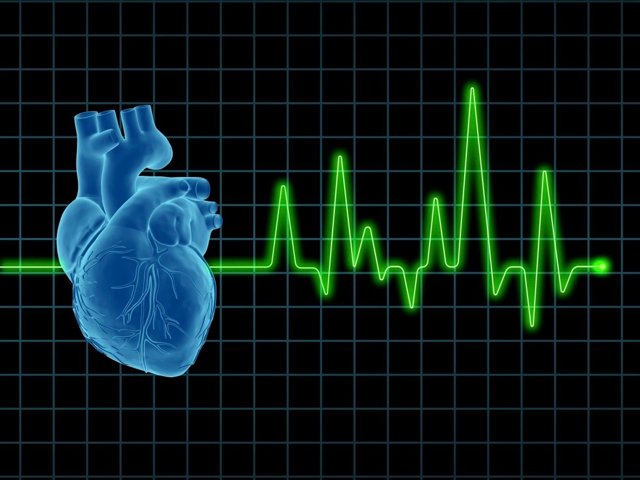Синусовая аритмия сердца: что это такое, чем опасна, симптомы и экг
