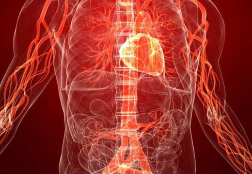 Нестенозирующий атеросклероз: эхографические и другие признаки патологии, поражение артерий нижних конечностей