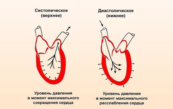 Показание артериального давления: что это такое?