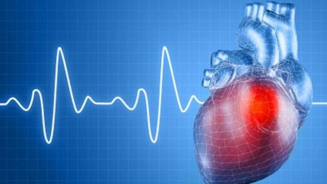 Какой должен быть пульс при беге, физических нагрузках и кардиотренировках: норма