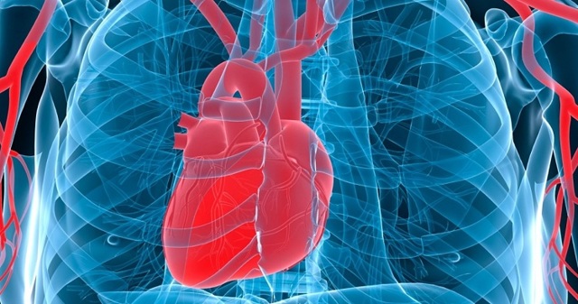 Увеличенное сердце у взрослого и ребенка на рентгене: причины, последствия