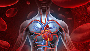 Резкое повышение артериального давления в течение дня: причины