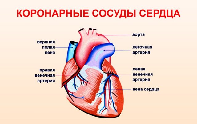 Симптомы спазма коронарных сосудов сердца