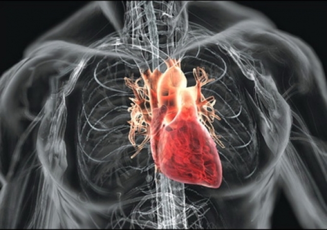 Первичный и возвратный ревмокардит сердца: что это такое, симптомы и лечение