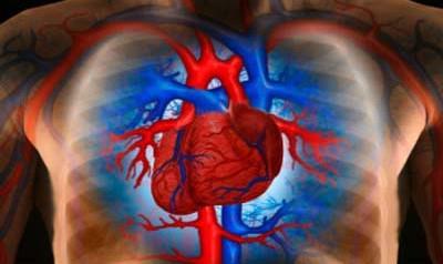 Осложнения инфаркта миокарда: ранние и поздние, требующие реанимационных мероприятий