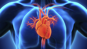 Боль в области сердца после и во время еды: причины