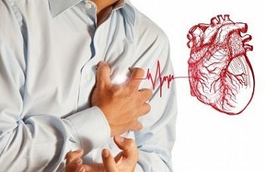 Что такое миокард сердца: его функции, болезни и лечение