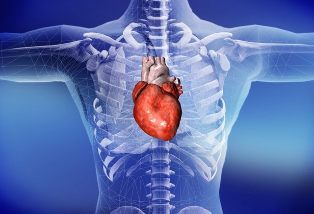 Жидкость в сердце после операции: что это такое, симптомы и лечение