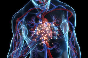 Вегетососудистая дистония как проявление сердечных заболеваний