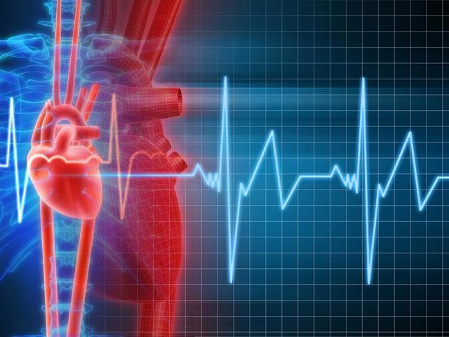 Мерцательная аритмия сердца: лечение народными средствами, отзывы
