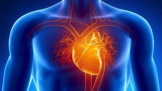 Что такое гипертрофическая обструктивная кардиомиопатия: диагностика и лечение