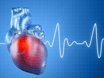 Синусовая аритмия сердца: что это такое, чем опасна, симптомы и экг
