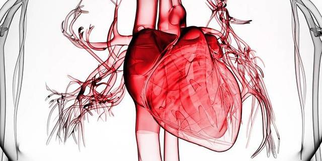 Острый инфаркт миокарда: что это такое, симптомы и первые признаки, лечение и последствия