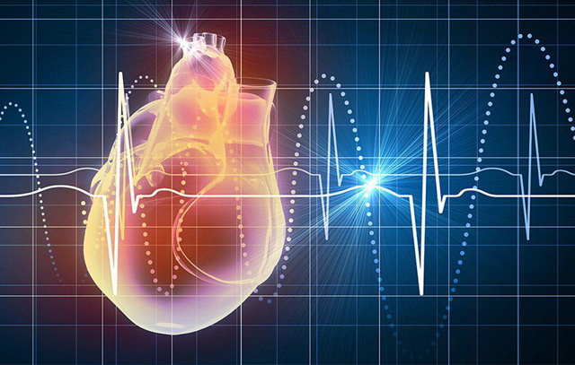 Валидол при тахикардии сердца и учащенном сердцебиении: можно или нет, снижает ли он пульс
