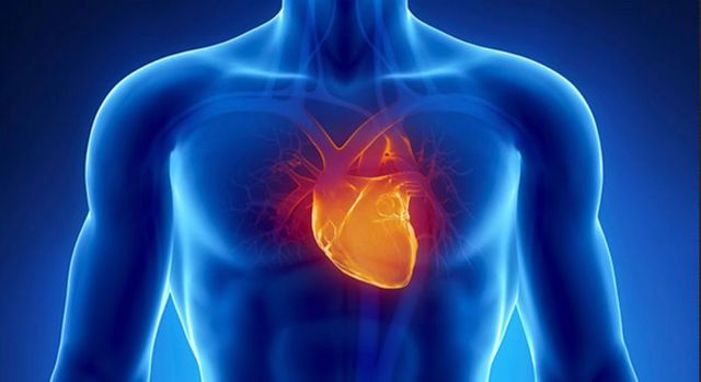 Замирание сердца: что это такое, причины, что это значит, работа с перебоями, чем лечить