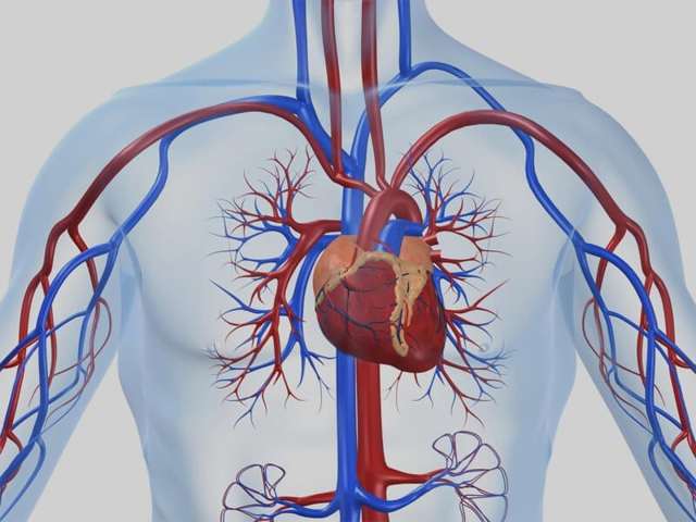 Синусовая тахикардия сердца: что это такое, симптомы, причины и лечение
