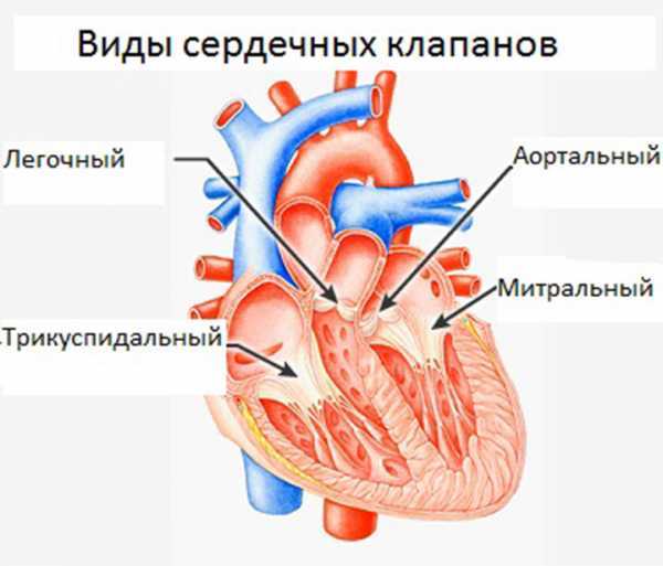 Операция по замене клапана сердца и ее последствия
